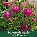 Guardião de Flores Invisível: Suporte Premium Anti-Tempestade 🌷🛡️
