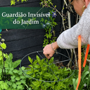 Guardião de Flores Invisível: Suporte Premium Anti-Tempestade 🌷🛡️